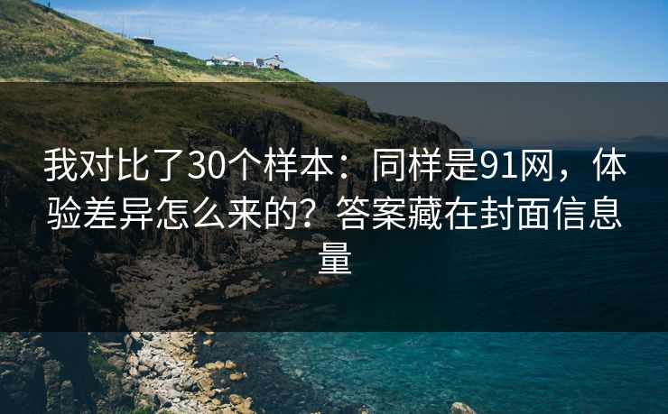 我对比了30个样本：同样是91网，体验差异怎么来的？答案藏在封面信息量