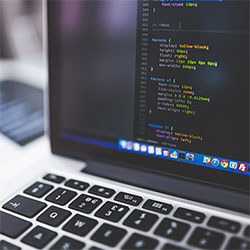 新版猫咪2.0，新版猫咪2.0官网优势