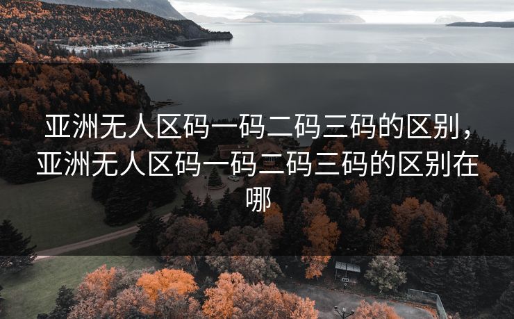 亚洲无人区码一码二码三码的区别，亚洲无人区码一码二码三码的区别在哪