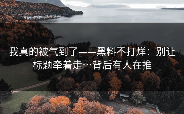 我真的被气到了——黑料不打烊：别让标题牵着走…背后有人在推