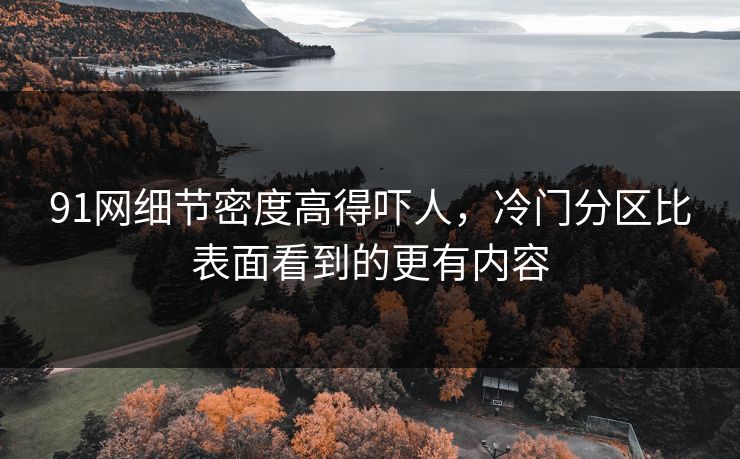 91网细节密度高得吓人,冷门分区比表面看到的更有内容